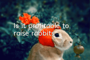 Is it profitable to raise rabbits?