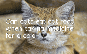 Can cats eat cat food when taking medicine for a cold?