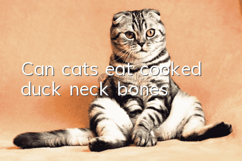 Can cats eat cooked duck neck bones?