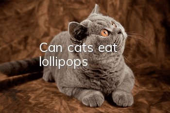 Can cats eat lollipops?
