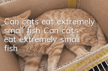 Can cats eat extremely small fish? Can cats eat extremely small fish?