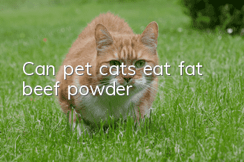 Can pet cats eat fat beef powder?