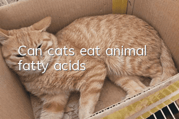 Can cats eat animal fatty acids?