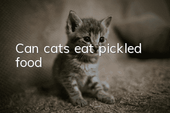 Can cats eat pickled food?