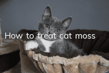 How to treat cat moss?