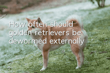 How often should golden retrievers be dewormed externally?