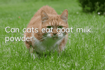 Can cats eat goat milk powder?