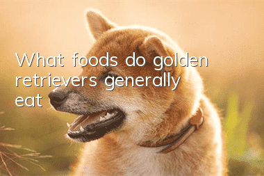 What foods do golden retrievers generally eat?