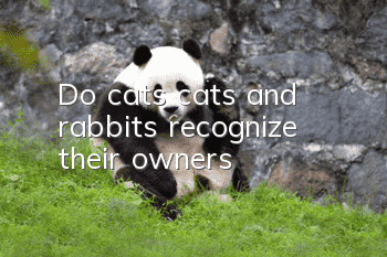 Do cats, cats and rabbits recognize their owners?
