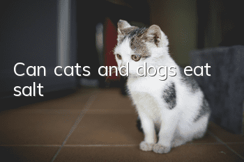 Can cats and dogs eat salt?
