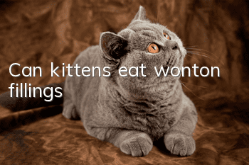 Can kittens eat wonton fillings?