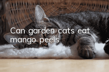 Can garden cats eat mango peels?