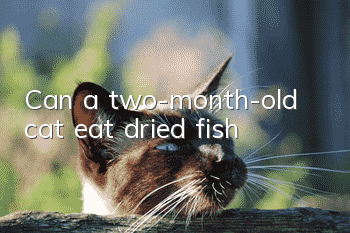 Can a two-month-old cat eat dried fish?