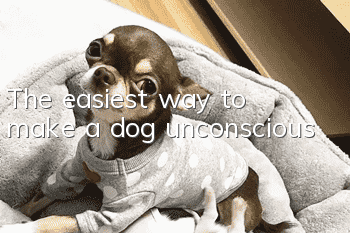 The easiest way to make a dog unconscious