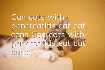 Can cats with pancreatitis eat cat cans? Can cats with pancreatitis eat cat cans?