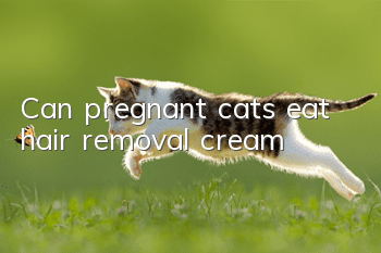 Can pregnant cats eat hair removal cream?