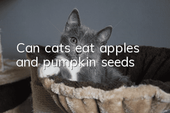 Can cats eat apples and pumpkin seeds?