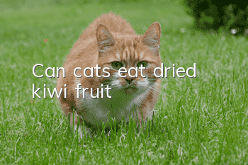 Can cats eat dried kiwi fruit?
