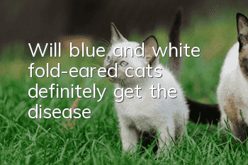 Will blue and white fold-eared cats definitely get the disease?