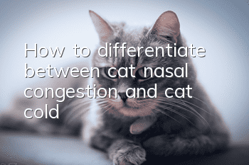 How to differentiate between cat nasal congestion and cat cold?