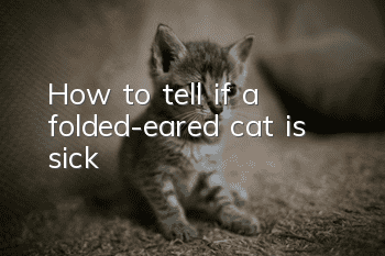 How to tell if a folded-eared cat is sick?