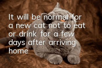 It will be normal for a new cat not to eat or drink for a few days after arriving home