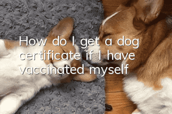How do I get a dog certificate if I have vaccinated myself?