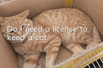Do I need a license to keep a cat?