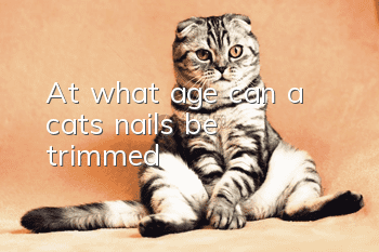 At what age can a cat’s nails be trimmed?