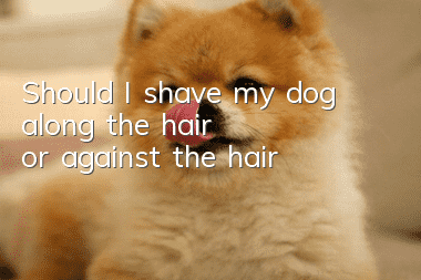 Should I shave my dog ​​along the hair or against the hair?