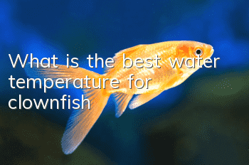 What is the best water temperature for clownfish?