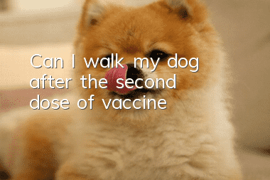 Can I walk my dog after the second dose of vaccine?