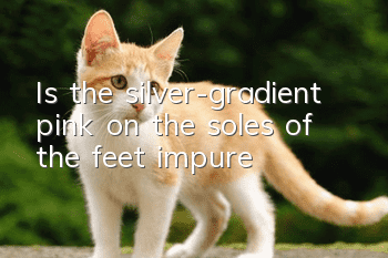 Is the silver-gradient pink on the soles of the feet impure?