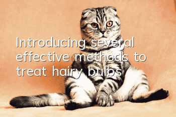 Introducing several effective methods to treat hairy bulbs