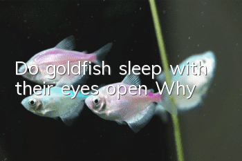 Do goldfish sleep with their eyes open? Why?