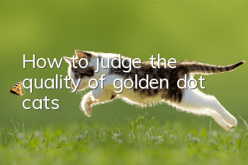 How to judge the quality of golden dot cats