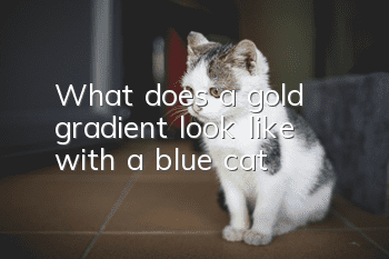 What does a gold gradient look like with a blue cat?