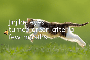 Jinjila’s eyes turned green after a few months