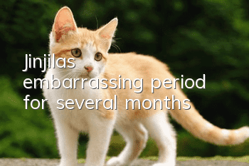 Jinjila’s embarrassing period for several months
