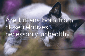 Are kittens born from close relatives necessarily unhealthy?