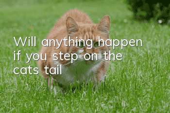 Will anything happen if you step on the cat's tail?