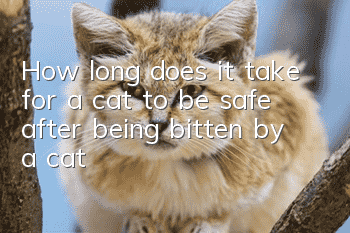 How long does it take for a cat to be safe after being bitten by a cat?