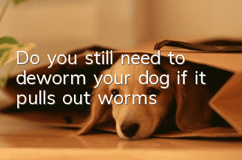 Do you still need to deworm your dog if it pulls out worms?