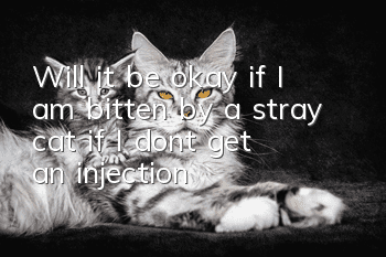 Will it be okay if I am bitten by a stray cat if I don’t get an injection?