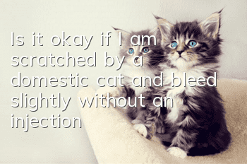 Is it okay if I am scratched by a domestic cat and bleed slightly without an injection?
