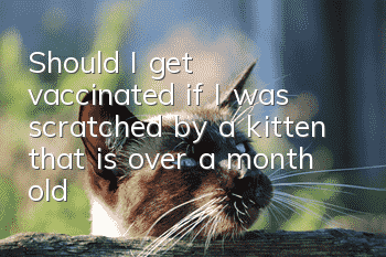 Should I get vaccinated if I was scratched by a kitten that is over a month old?
