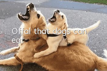 Offal that dogs can eat