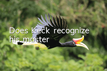 Does Keck recognize his master?