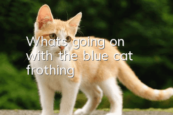 What's going on with the blue cat frothing?