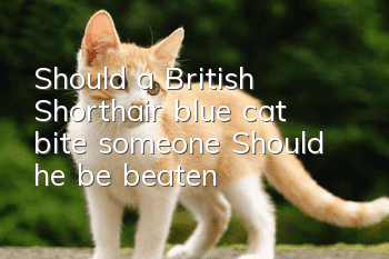 Should a British Shorthair blue cat bite someone? Should he be beaten?